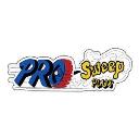 Pro Sweep Plus logo